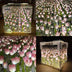 Caja de Tulipanes Infinitos mas collar tulipán