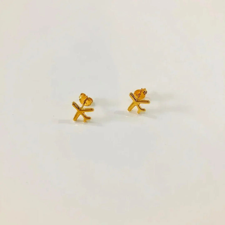 Aretes Aviones