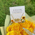 COLLAR GIRASOLES  GIRATORIOS ANTI-ESTRES (personaliza tu combo con caja sorpresa)